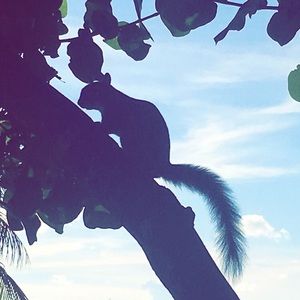 Meet your Posher, Jay